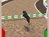 https://musxk.tech/game/crazy-real-dog-race