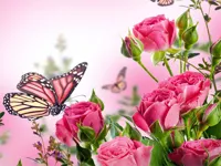 https://musxk.tech/game/butterflies-puzzle