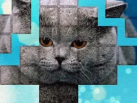 https://musxk.tech/game/picpu-cat-puzzle