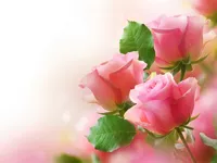 https://musxk.tech/game/pink-roses-puzzle