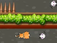 https://musxk.tech/game/cat-trap-labyrinth-escape