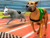 https://musxk.tech/game/dogs3d-races