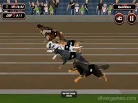 https://musxk.tech/game/crazy-dog-racing-simulator-games-3d