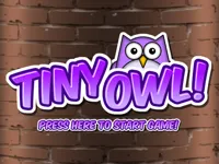https://musxk.tech/game/tiny-owl