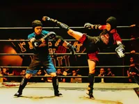 https://musxk.tech/game/fighters-in-the-ring