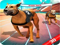 https://musxk.tech/game/crazy-dog-race